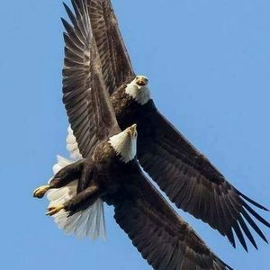 Meet your Posher, Beverly